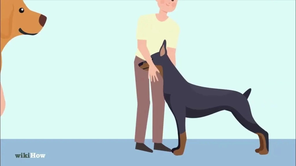 how to pick up a dog 